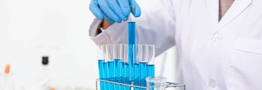Bilim insanları kimyasal bileşimin ve biyolojik kütlesinin bilimsel bir laboratuvarda, bilim adamlarında ve laboratuar konseptinde tespit edilmesine hazırlanmak için mavi kimyasal test tüpleri taşıyorlar..
