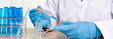 Bilim insanları kimyasal bileşimin ve biyolojik kütlesinin bilimsel bir laboratuvarda, bilim adamlarında ve laboratuar konseptinde tespit edilmesine hazırlanmak için mavi kimyasal test tüpleri taşıyorlar..