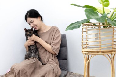 Asyalı kadın mutluca kedisiyle oturma odasında oynuyor, sevgili evcil hayvan, en iyi arkadaş, mutlu bölge, evde tatiller, rahatla ve eğlen, kediyle halının üzerinde oturuyor,.