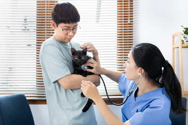 Enfermeira Veterinária Animal Está Verificando Saúde Gato Consultando Donos Animais — Fotografia de Stock