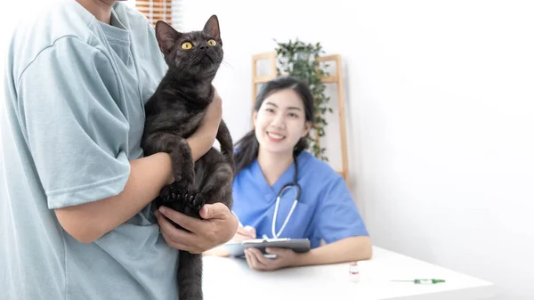 Veterinarian Animal Nurse Checking Cat Health Consulting Pet Owners Cat — Stock Photo, Image