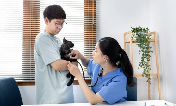 Veterinaria Enfermera Animales Está Comprobando Salud Del Gato Consultando Los —  Fotos de Stock