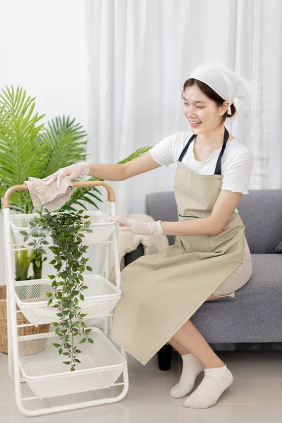 Beautiful housewife is cleaning things and vases in the living room, Big cleaning, Housework, Daily routine ,Removes germs and dirt and deep stains, Spray alcohol, Clean up on weekends.