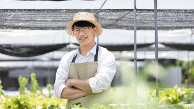 Hidroponik sebze bahçesinin sahibi, tüketicilere, organik tarım ve organik sebzelere, sağlıklı ve vejetaryen gıda kavramına hazırlık amacıyla bir serada tarım ürünlerini denetliyor..