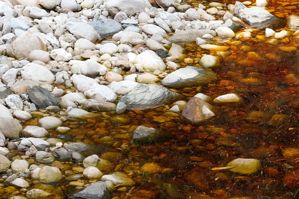 Porównując White Rock Riverbank Forest Tainted Water — Zdjęcie stockowe