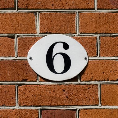 sayı 6