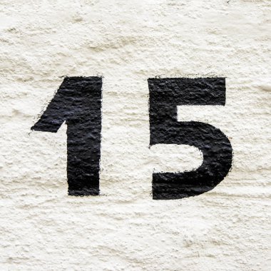 Nr. 15