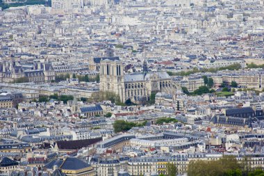 Notre dame de Paris