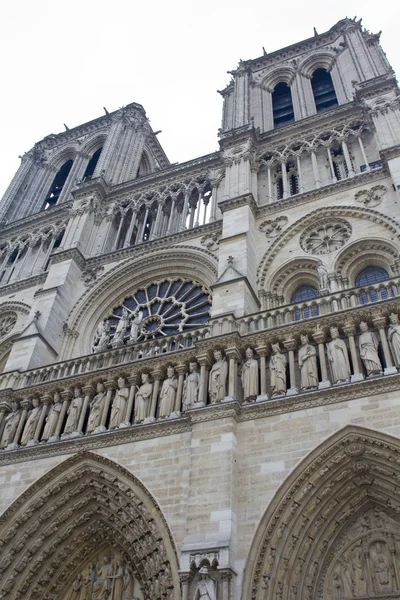 Notre Dame w Paryżu — Zdjęcie stockowe