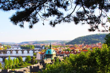 View of the bridge in Prague, Czech Republic clipart
