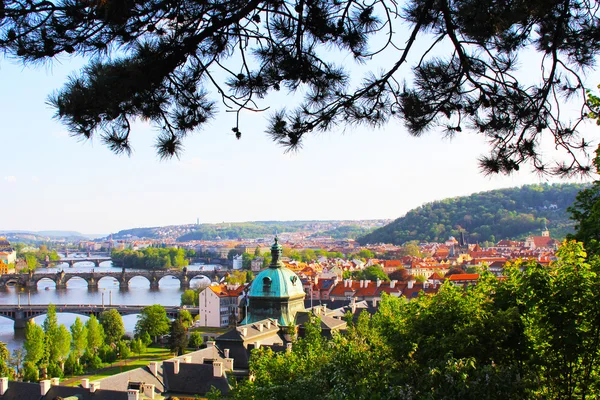 プラハ、チェコ共和国で橋の眺め — ストック写真