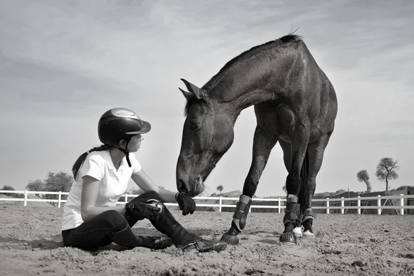 Relationship with the horse — Stock Photo, Image