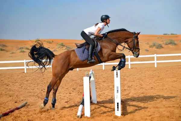 Jumping Horse — Stock Photo, Image