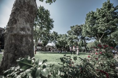 Türk Vintage Hostel