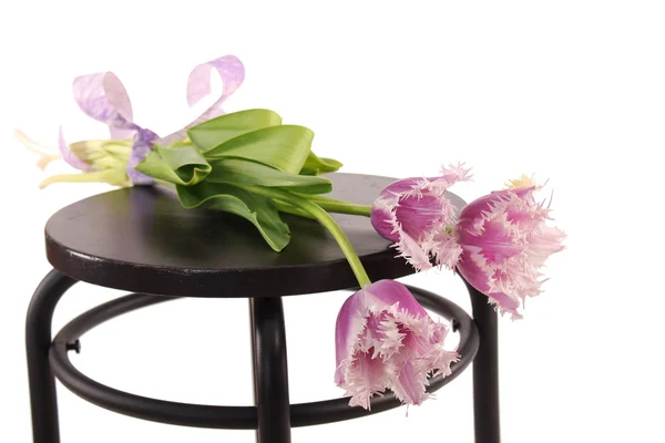 Beyaz arkaplanda çiçekler