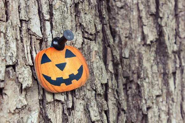 Pumpkin halloween günü