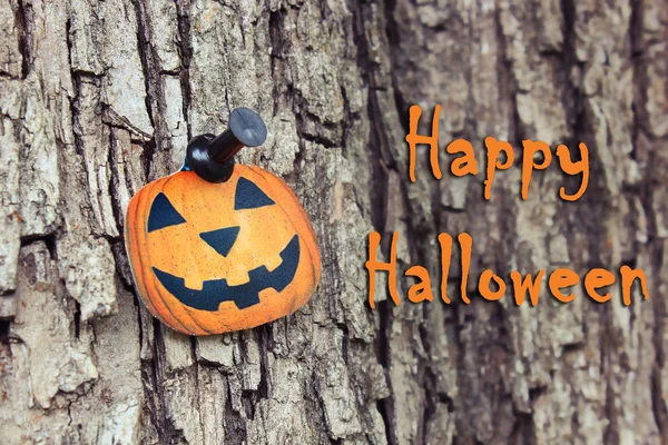 Pumpkin halloween günü