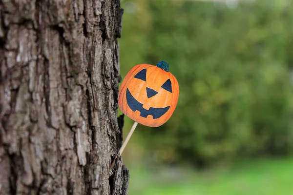 Kabak Cadılar Bayramı Günü boyalı