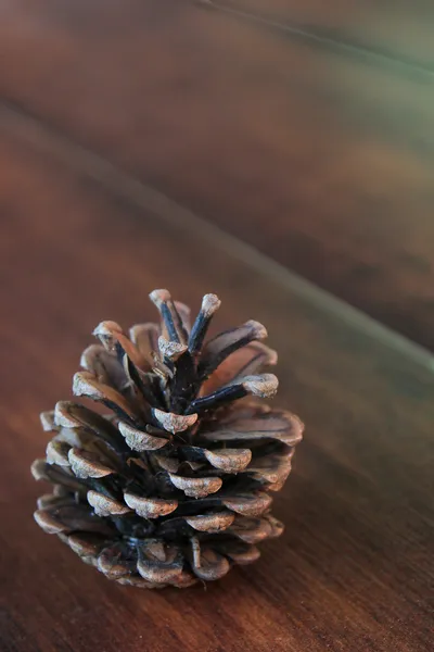 Pinecone en un suelo de madera — Foto de Stock