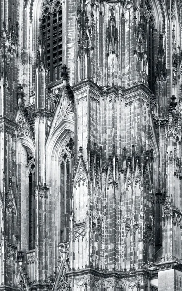 Кёльнский собор — стоковое фото