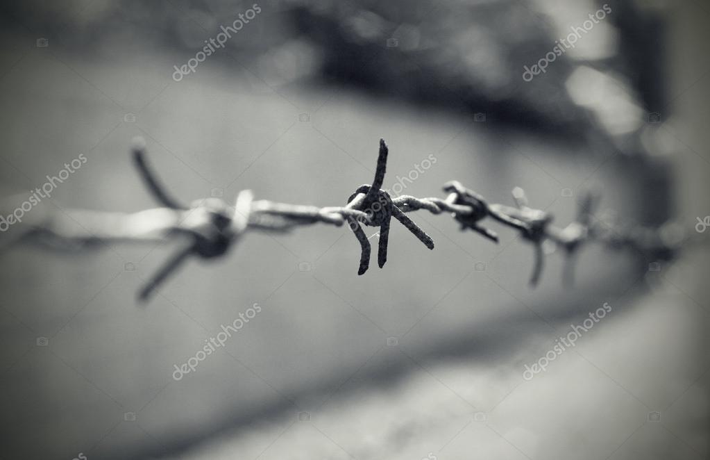 holocausto #hashtag