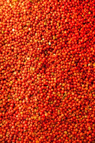 Granos de pimienta roja —  Fotos de Stock