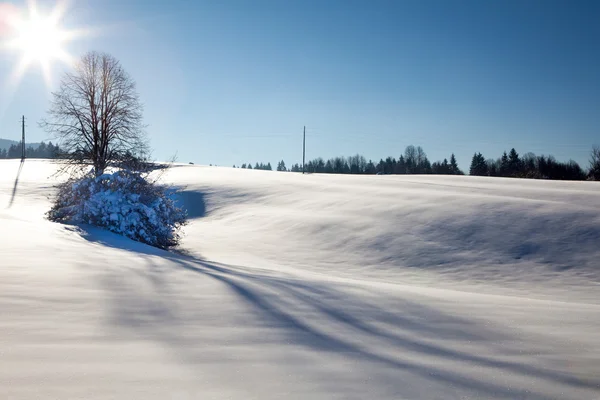 Paysage hivernal avec arbre solitaire et soleil — Photo