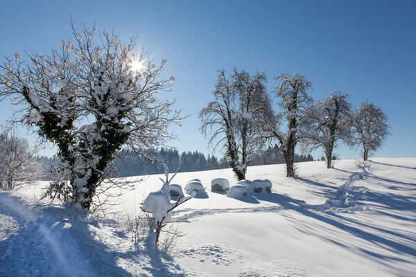 Zasněžená krajina krajina s plochou okresu, stromy a silniční — Stock fotografie