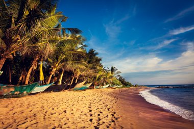 tekne tropikal plaj, mirissa, sri lanka