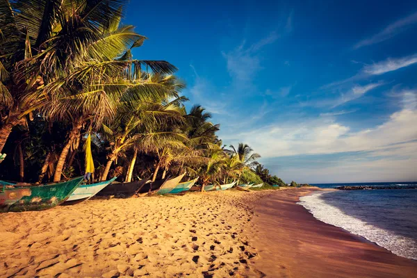 Barcos em uma praia tropical, Mirissa, Sri Lanka — Fotografia de Stock