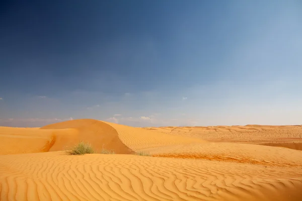 Wüste pur mit Dünen und blauem Himmel im Hintergrund — Stockfoto