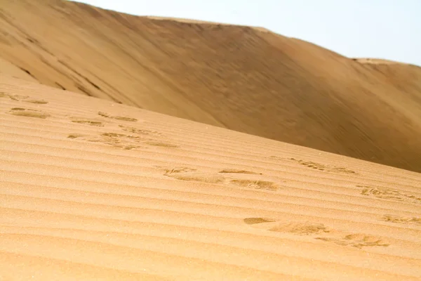 Footsteps in desert — Stock Photo, Image