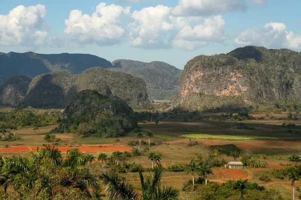 vinales Vadisi'ne Küba