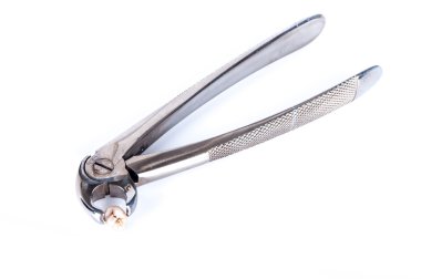 gerçek insan diş çürüğü diş forseps tarafından çıkarılan ile