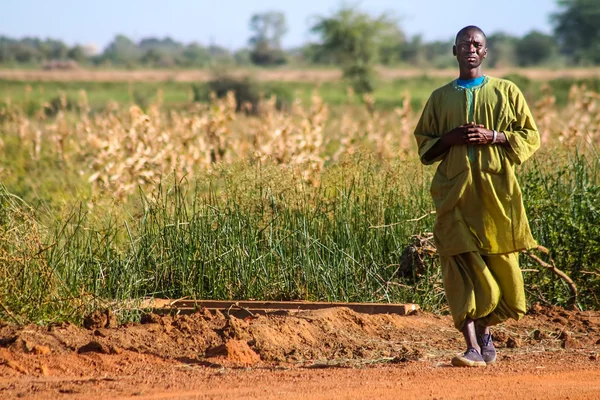 Люди сидять на полі в Сенегалі, Африка — стокове фото