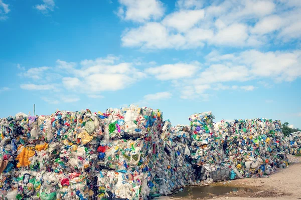 Суміш з переробленим сміттям Ліцензійні Стокові Фото