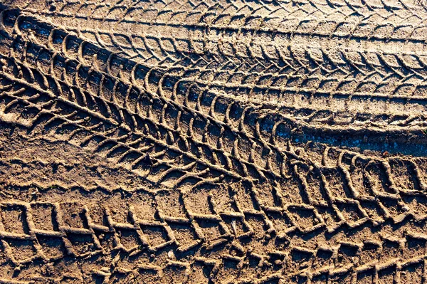 토양에 있는 바퀴 자국 스톡 사진