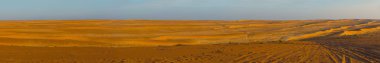 Panorama of Wahiba desert in Oman clipart