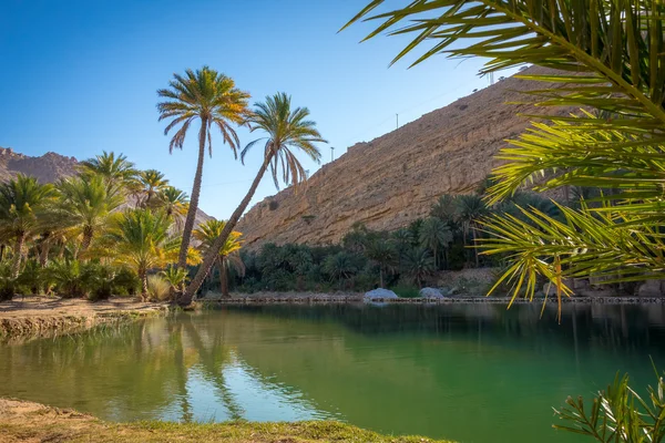 Piscina natural em Wadi Bani Khalid, Sultanato Omã — Fotografia de Stock