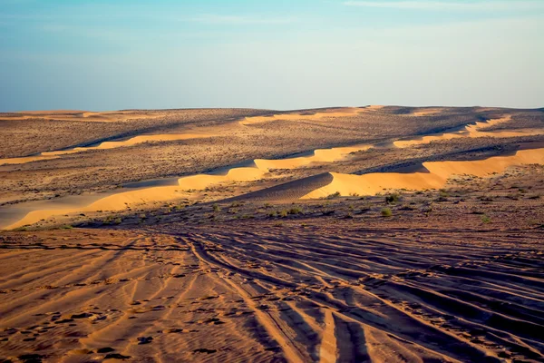 Wahiba desierto de arena — Foto de Stock