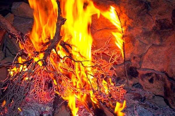 Campfire close up — Stock Photo, Image