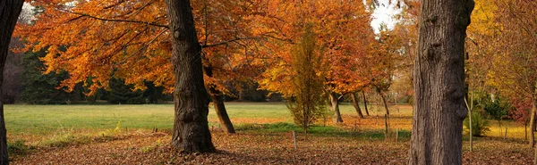 Perfecte herfst Stockfoto