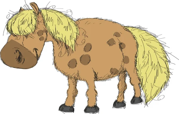 Pony de Shetland — Vector de stock