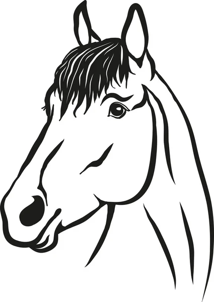 Tête de cheval — Image vectorielle