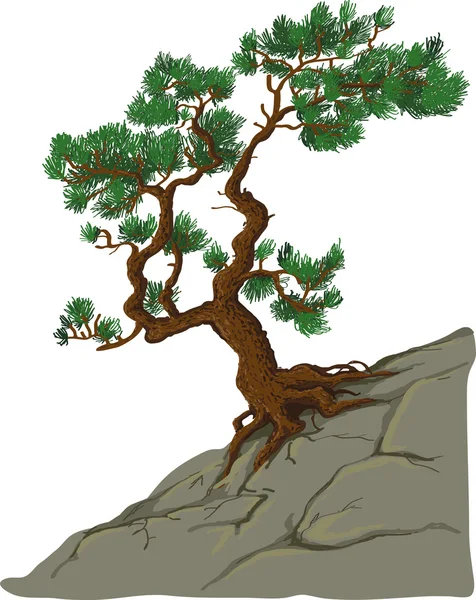 岩の上の木 — ストックベクタ