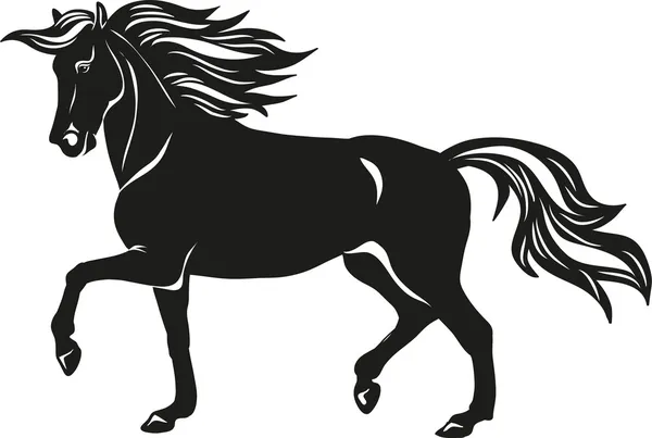 Black horse — Stock Vector