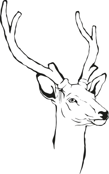 Deer with horns — Stock Vector