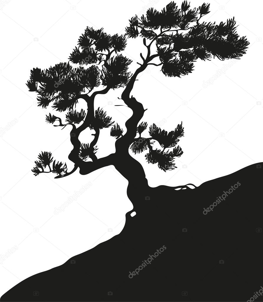 pine-tree