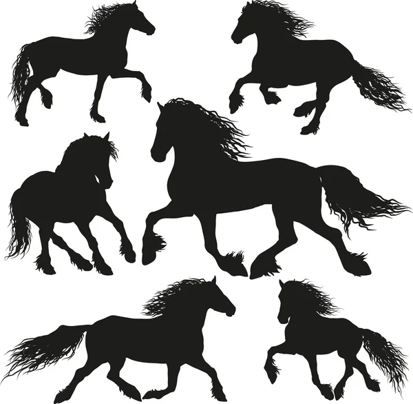 Cheval frison — Image vectorielle