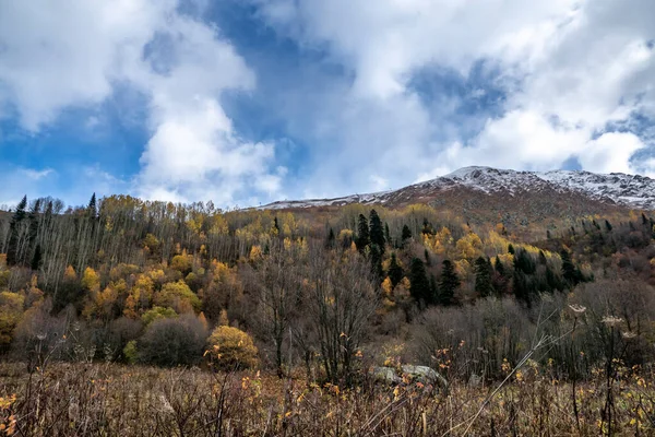 秋の森と高い山の間の渓谷を歩くと — ストック写真